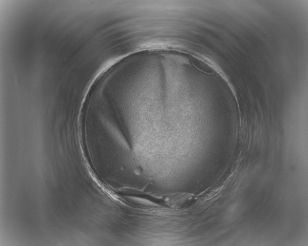 X0000054401045200508192000