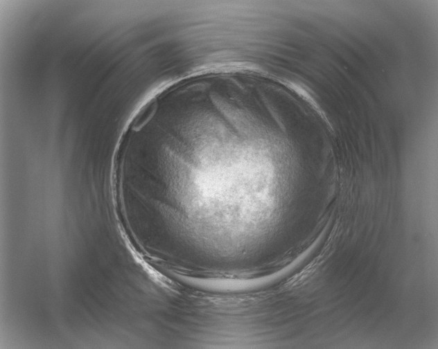 X0000054401046200508192000