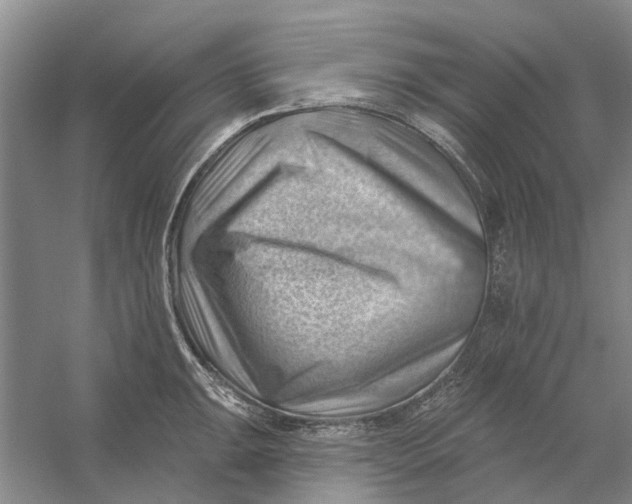 X0000054401047200508192000