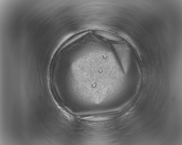 X0000054401048200508192000