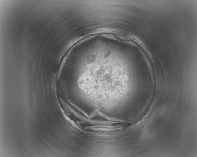 X0000054401049200508192000