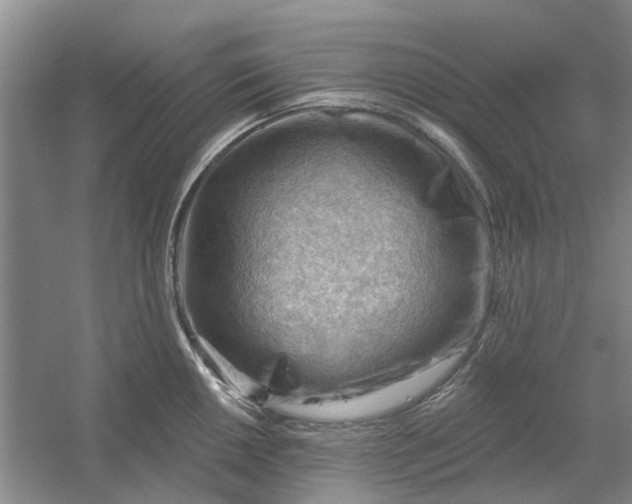 X0000054401050200508192000