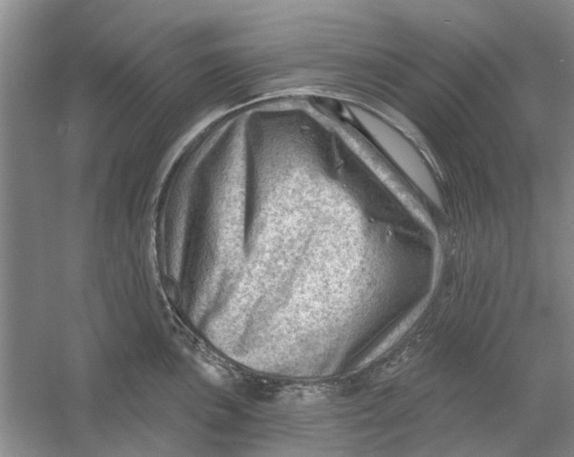 X0000054401051200508192000