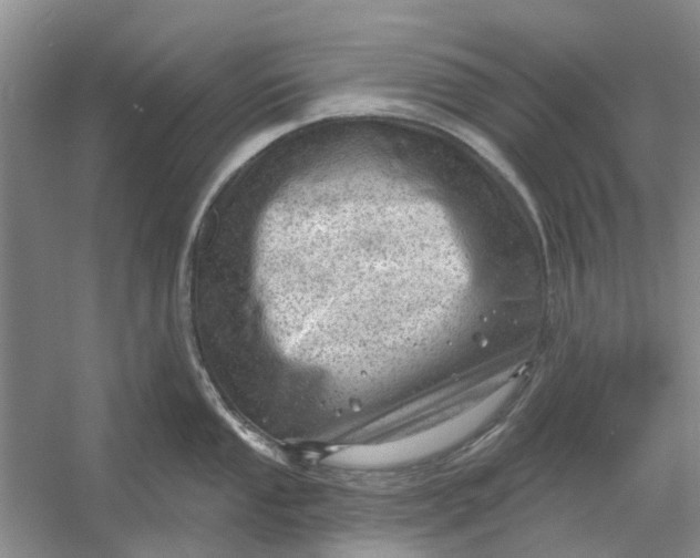 X0000054401053200508192000