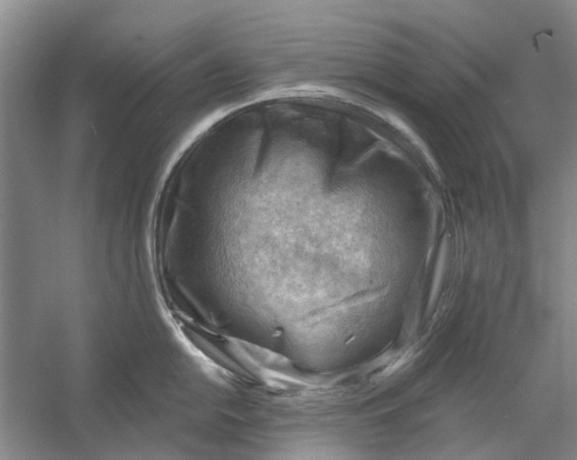 X0000054401054200508192000