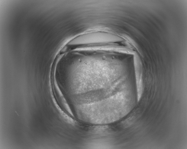 X0000054401055200508192000