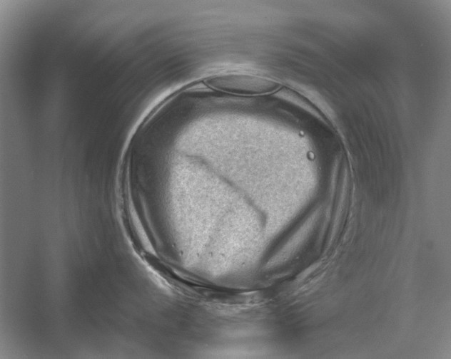 X0000054401056200508192000