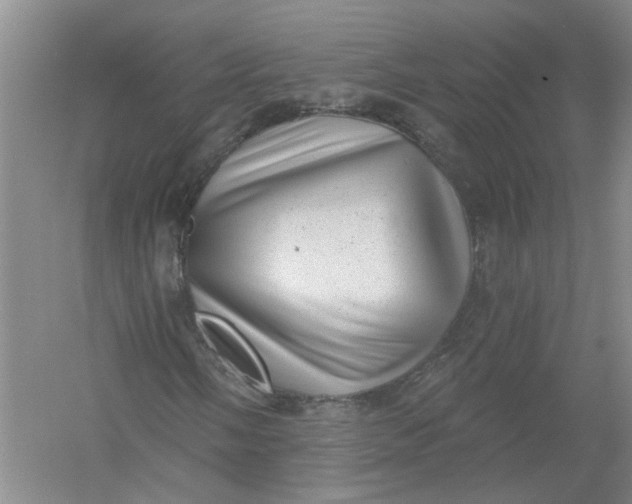 X0000054401058200508191959