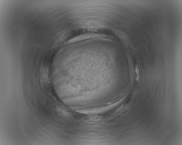 X0000054401060200508191959