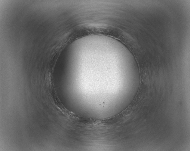 X0000054401061200508191959