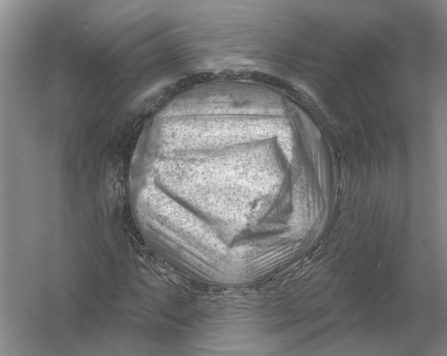 X0000054401063200508191959