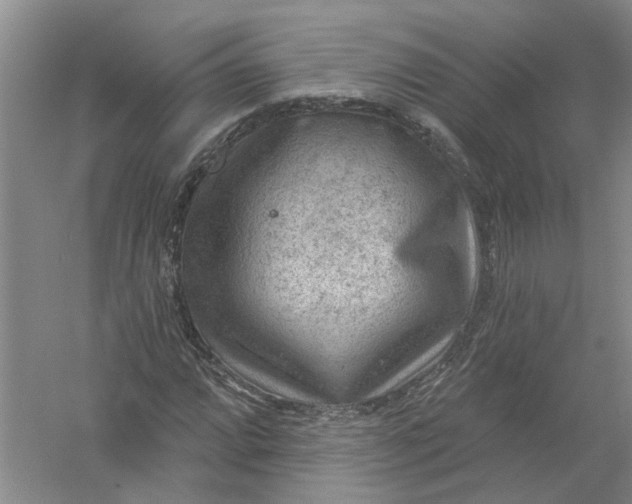 X0000054401064200508191959