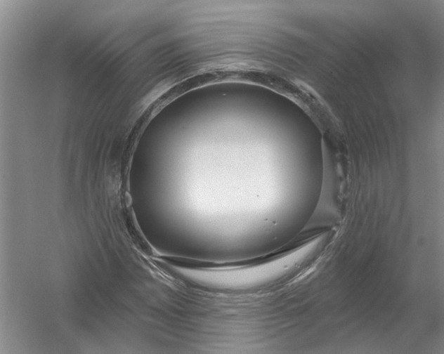 X0000054401065200508191959