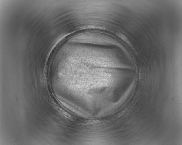 X0000054401068200508191959