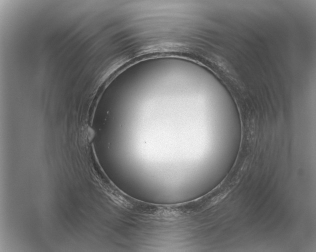 X0000054401073200508191959