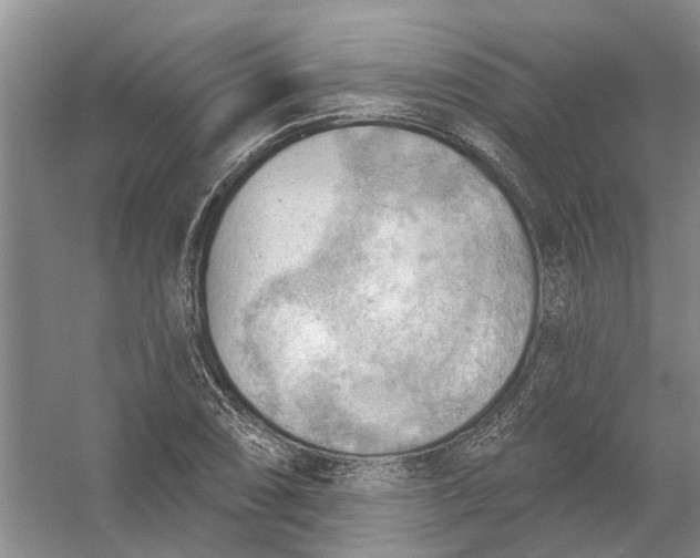 X0000054401074200508191959