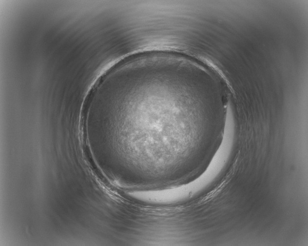 X0000054401077200508191959