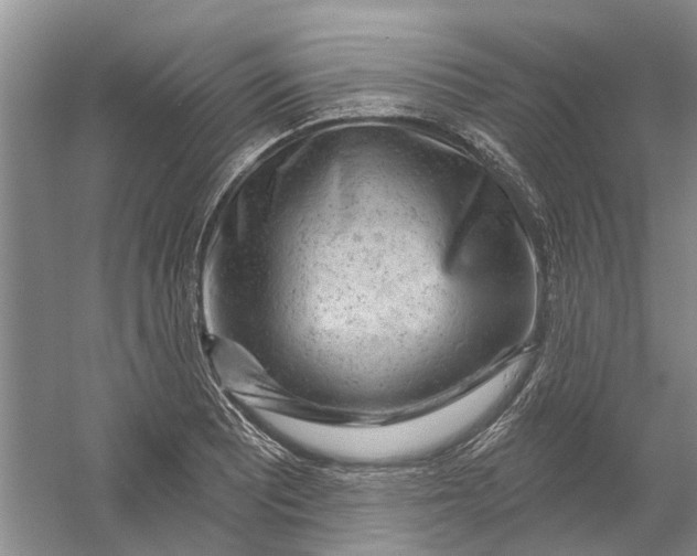 X0000054401081200508191959