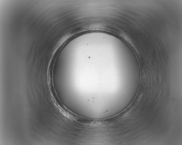 X0000054401082200508191959