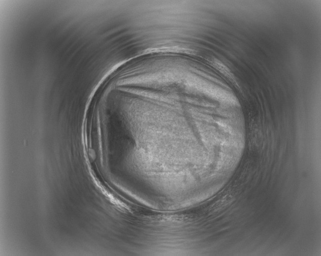 X0000054401084200508191959