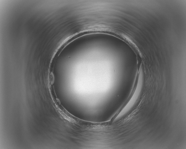 X0000054401085200508191959