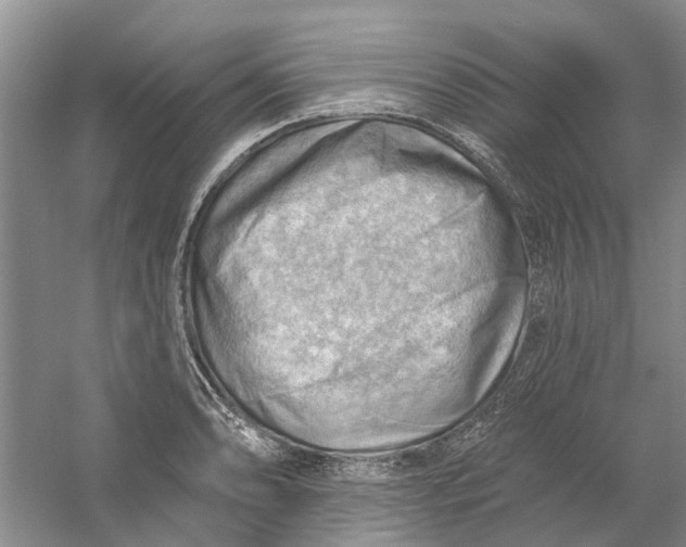 X0000054401086200508191959