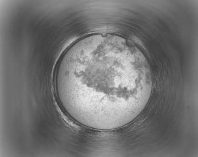 X0000054401087200508191959