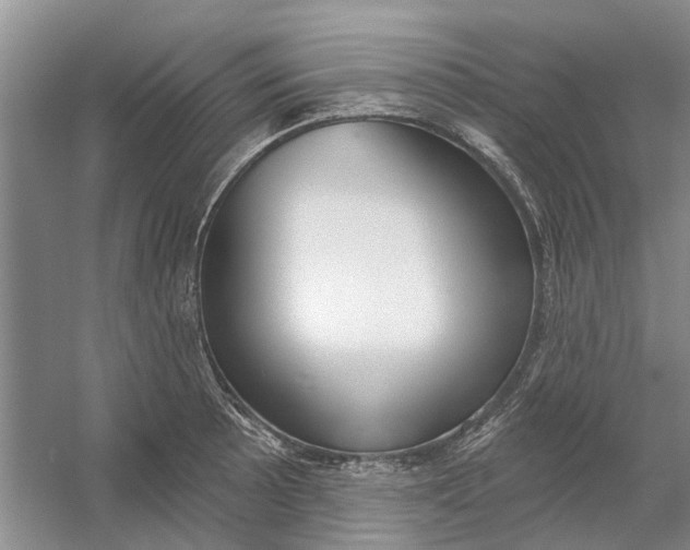 X0000054401089200508191958