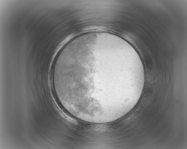 X0000054401090200508191958