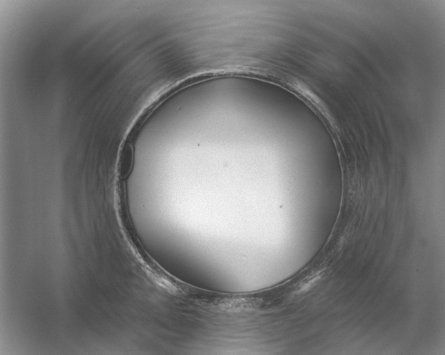 X0000054401093200508191958