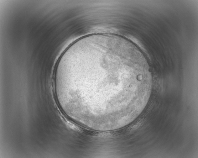 X0000054401094200508191958