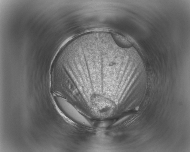 X0000054401095200508191958