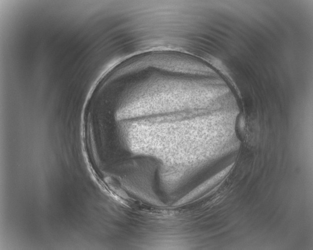 X0000054401096200508191958