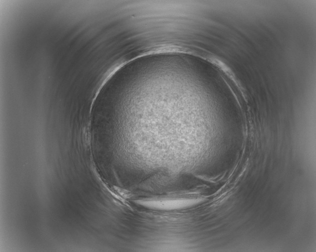 X0000054401097200508191958