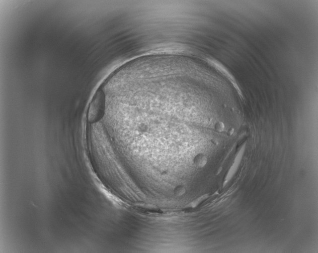 X0000054401099200508191958