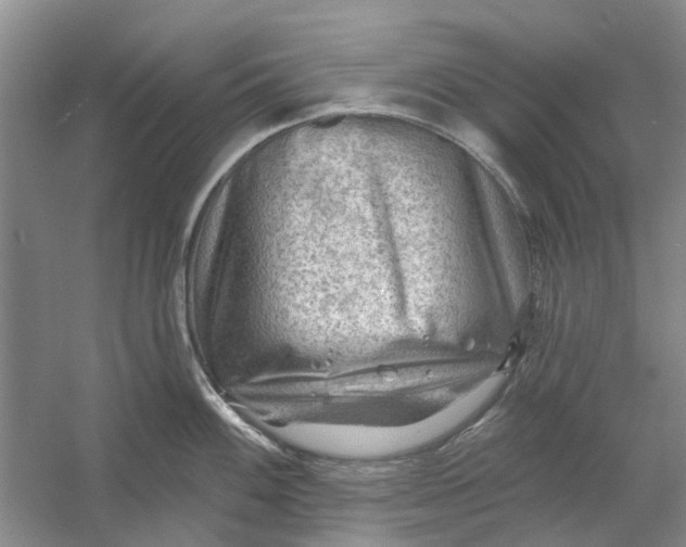 X0000054401100200508191958