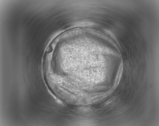 X0000054401103200508191958