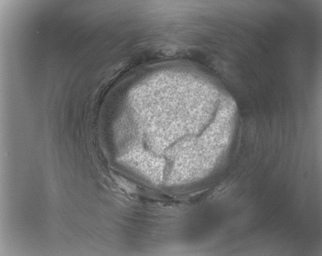 X0000054401105200508191957