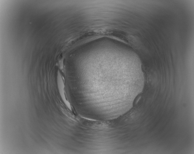 X0000054401106200508191957