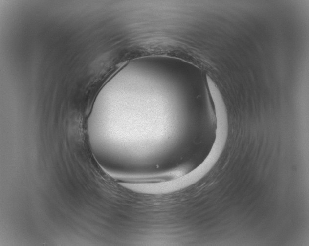 X0000054401108200508191957