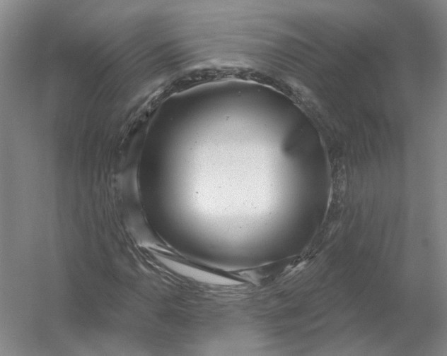 X0000054401110200508191958