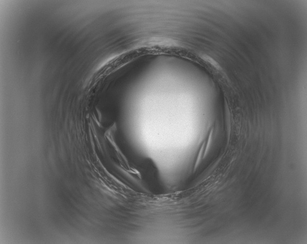 X0000054401112200508191958