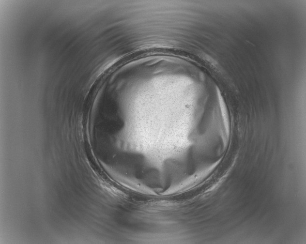 X0000054401113200508191958