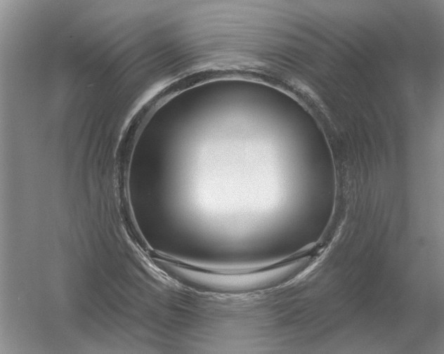 X0000054401114200508191958