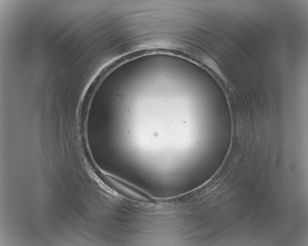 X0000054401116200508191958