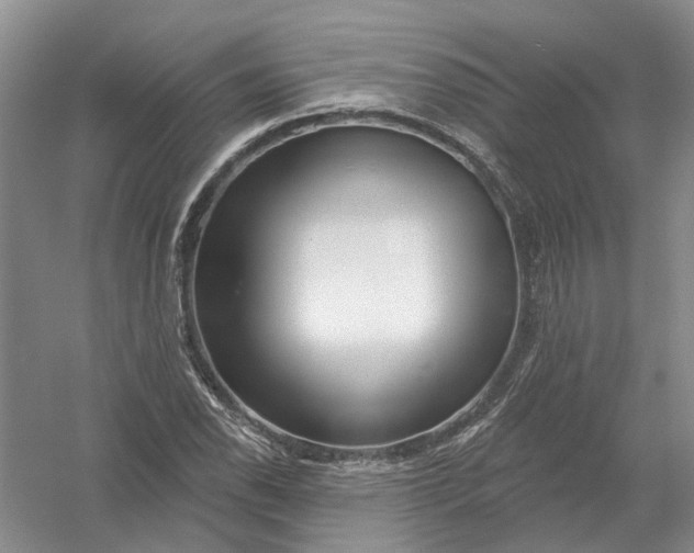 X0000054401118200508191958