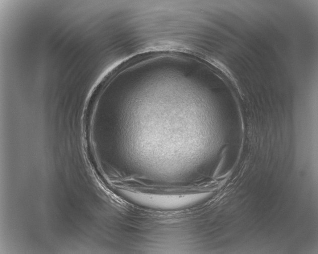 X0000054401120200508191958