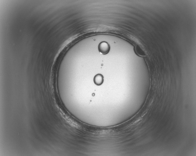 X0000054401122200508191958