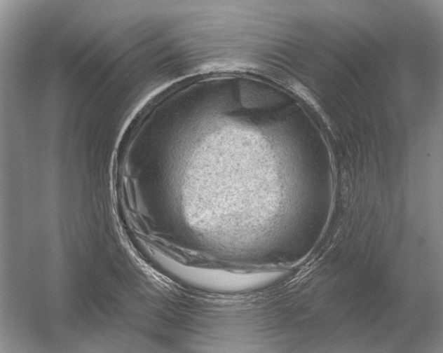 X0000054401124200508191958