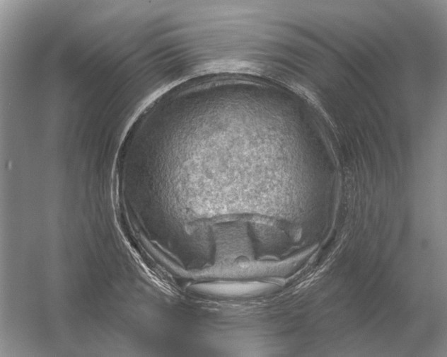 X0000054401125200508191958